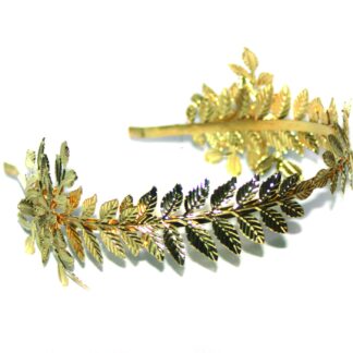 ΔΑΦΝΙΝΟ ΣΤΕΦΑΝΙ