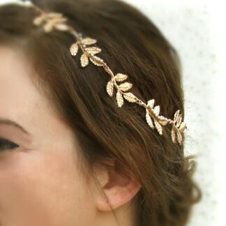 ΔΑΦΝΙΝΟ ΣΤΕΦΑΝΙ