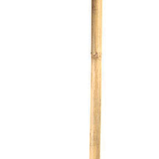 ΣΚΟΥΠΑ ΧΟΡΤΟΥ