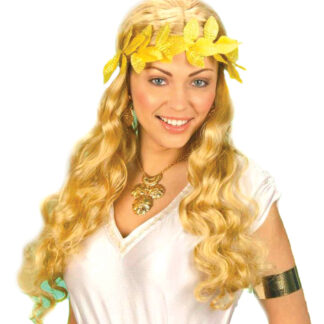 ΔΑΦΝΙΝΟ ΣΤΕΦΑΝΙ