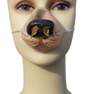 ΜΥΤΗ ΣΚΥΛΑΚΙ