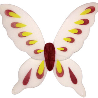 ΦΤΕΡΑ ΕΝΗΛΙΚ.ΠΕΤΑΛΟΥΔΑΣ ΚΟΚΚΙΝΑ