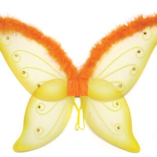 ΦΤΕΡΑ ΕΝΗΛΙΚ. ΠΕΤΑΛΟΥΔΑΣ ΠΟΡΤΟΚ.