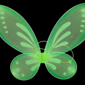 ΦΤΕΡΑ ΝΕΡΑΊΔΑΣ ΠΡΑΣΙΝΑ