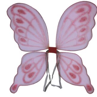 ΦΤΕΡΑ ΜΕ ΦΩΣ ΡΟΖ