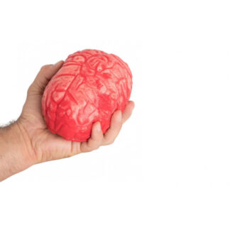 ΨΕΥΤΙΚΟ ΜΥΑΛΟ