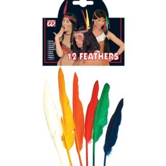 ΦΤΕΡΑ ΙΝΔΙΑΝΟΥ ΔΩΔΕΚΑΔΑ