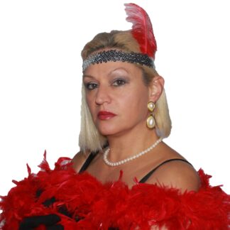 ΣΕΤ ΜΕΡΙΛΥΝ