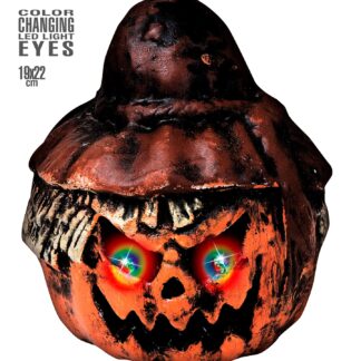 ΚΟΛΟΚΥΘΑ ΜΕ ΦΩΣ