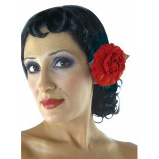 ΠΕΡΟΥΚΑ ΣΠΑΝΙΟΛΑΣ