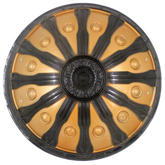 ΑΣΠΙΔΑ ΠΟΛΕΜΙΣΤΗ