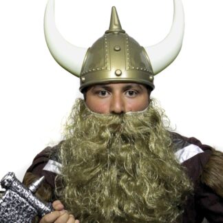 ΚΡΑΝΟΣ ΒΙΚΙΝΓΚ